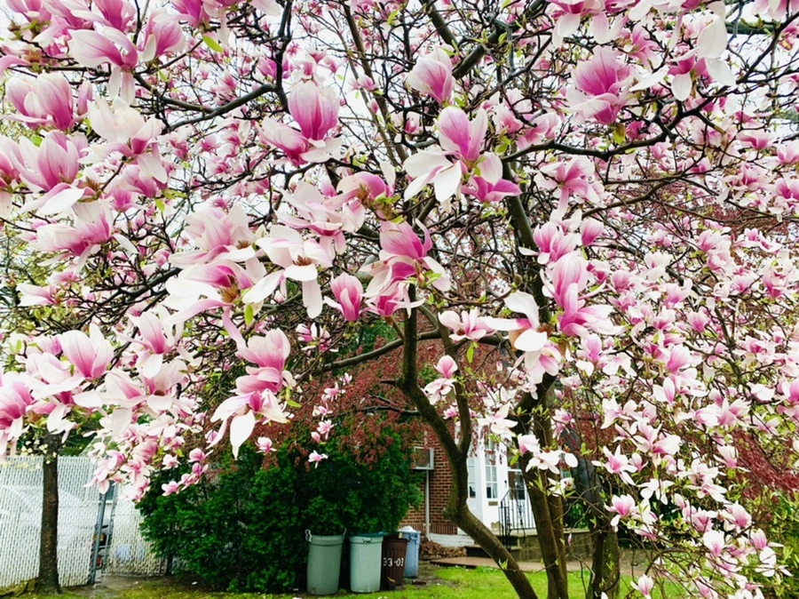 IMG_2335.jpg?type=w966