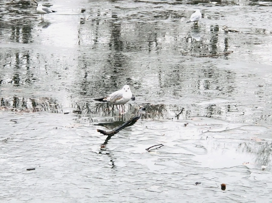 IMG_3180.jpg?type=w966