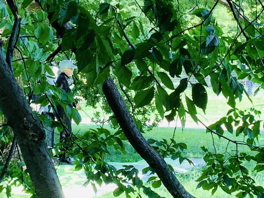 IMG_4969.jpg?type=w966