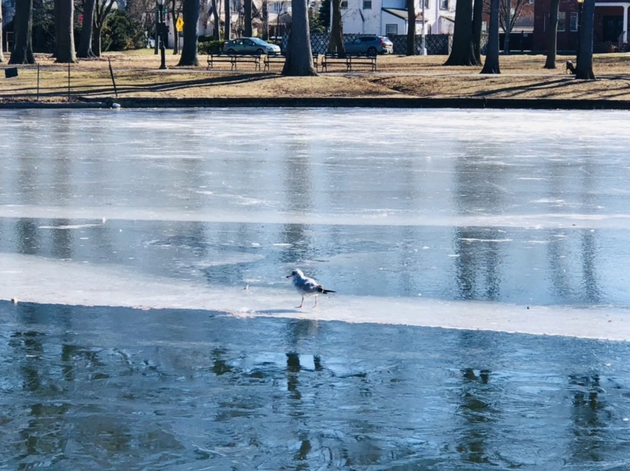 IMG_7804.jpg?type=w966