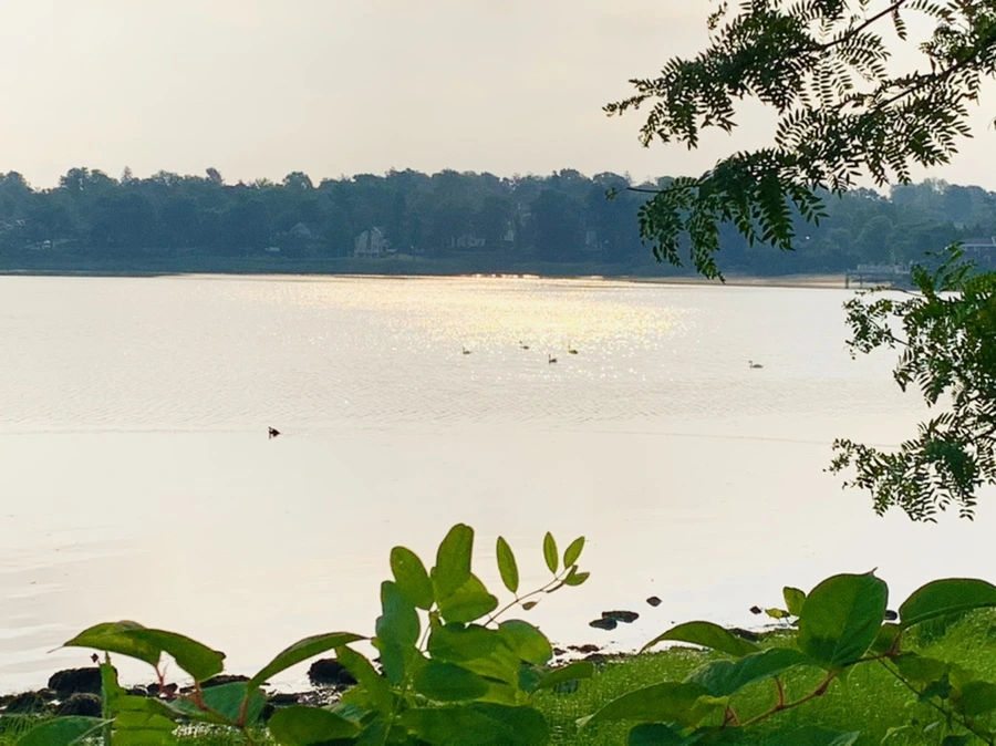 IMG_2228.jpg?type=w966