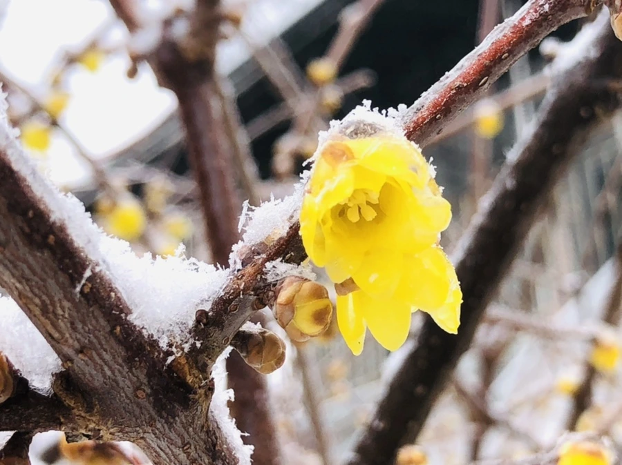 IMG_3536.jpg?type=w966