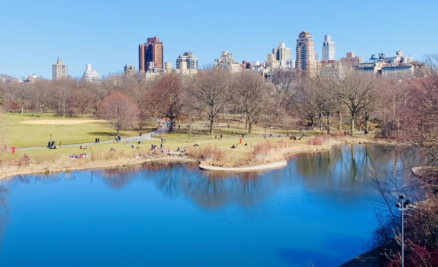 IMG_0726.jpg?type=w966