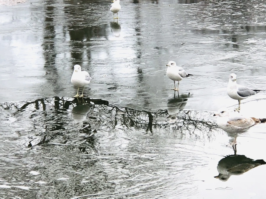 IMG_8904.jpg?type=w966