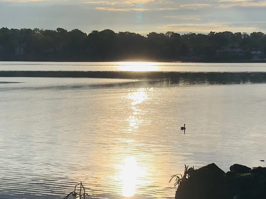 IMG_7729.jpg?type=w966