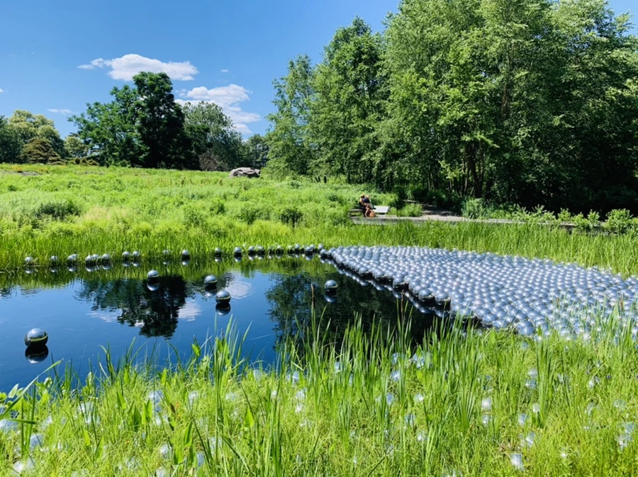 IMG_4679.jpg?type=w966