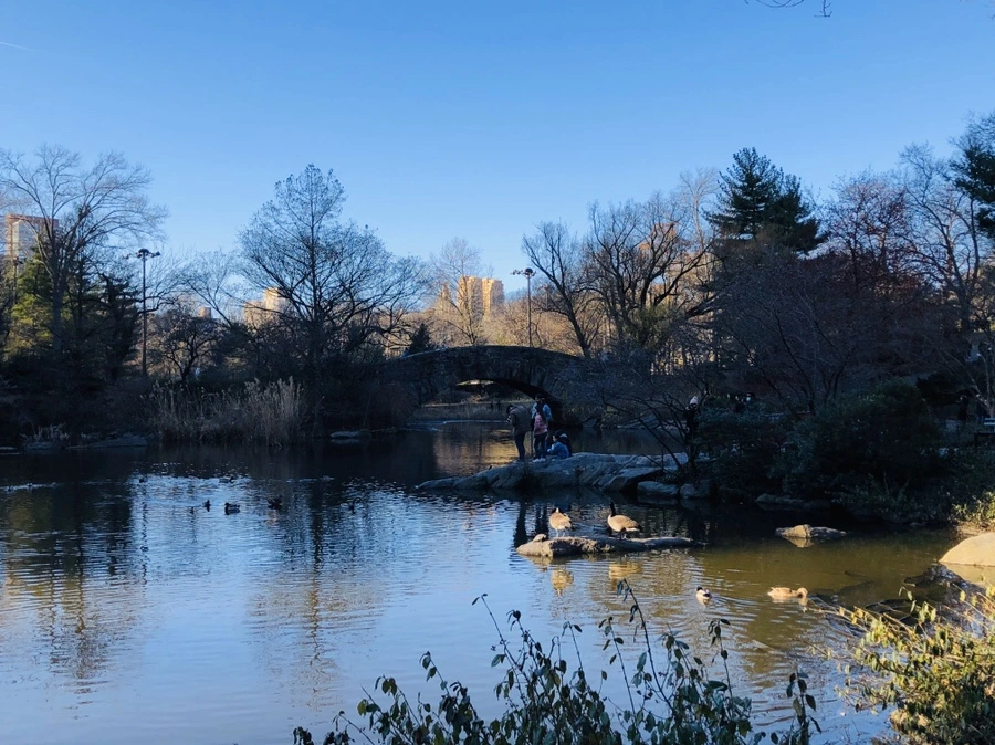 IMG_6384.jpg?type=w966