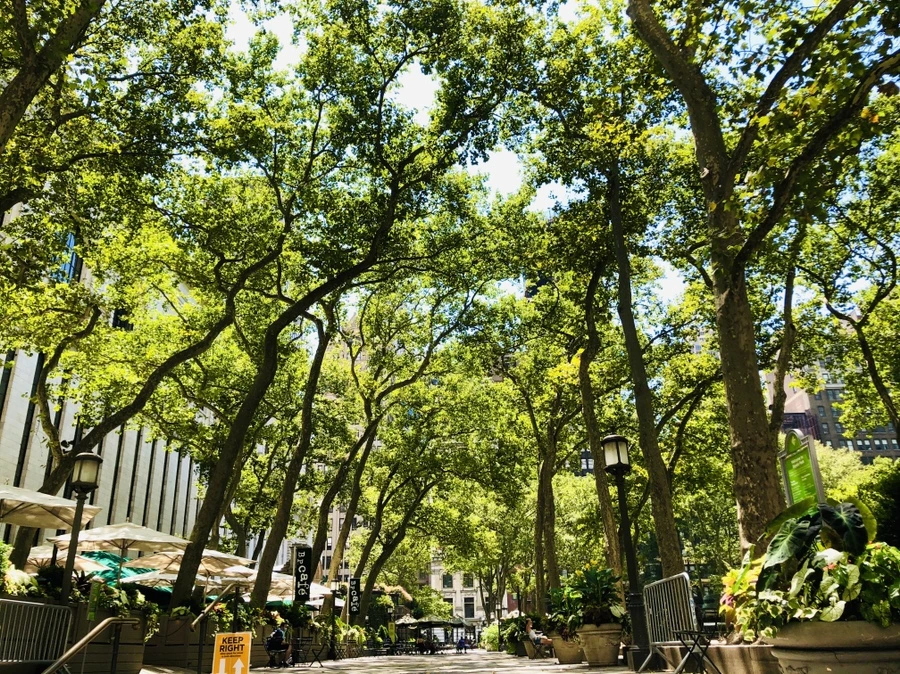 IMG_5297.jpg?type=w966