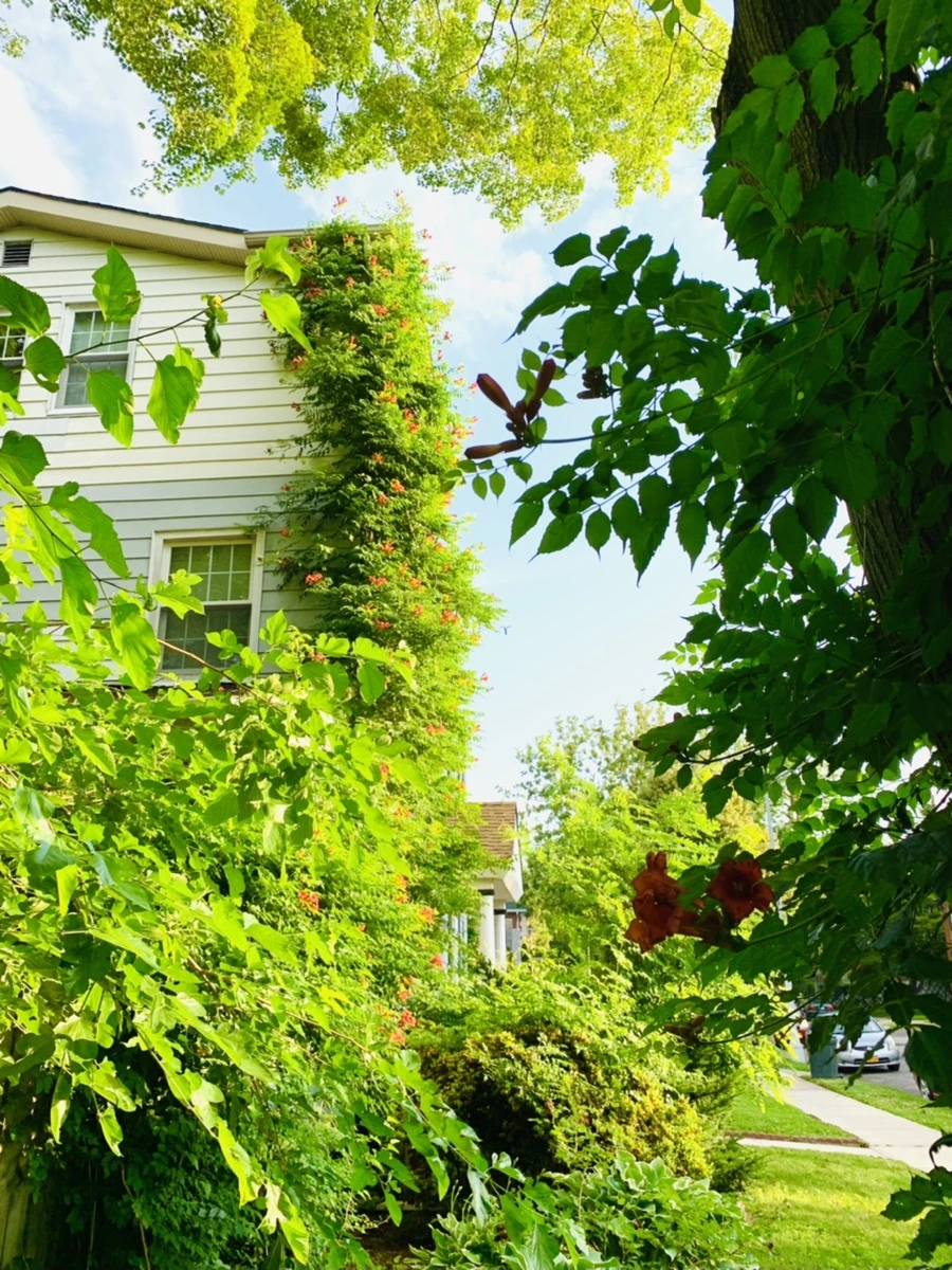 IMG_5829.jpg?type=w966