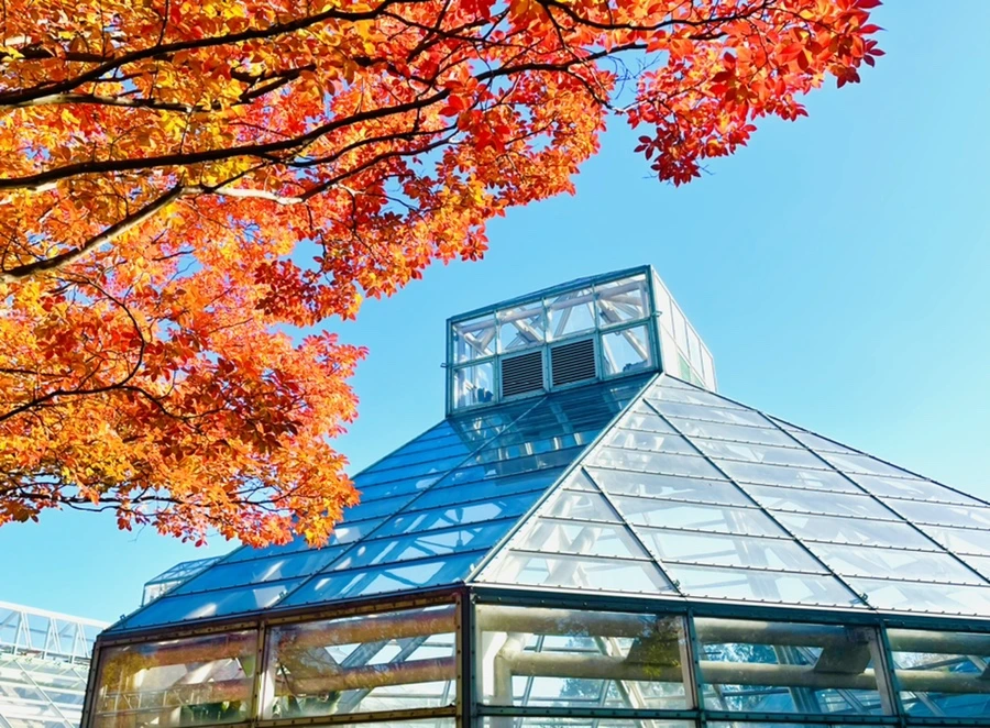 IMG_2058.jpg?type=w966