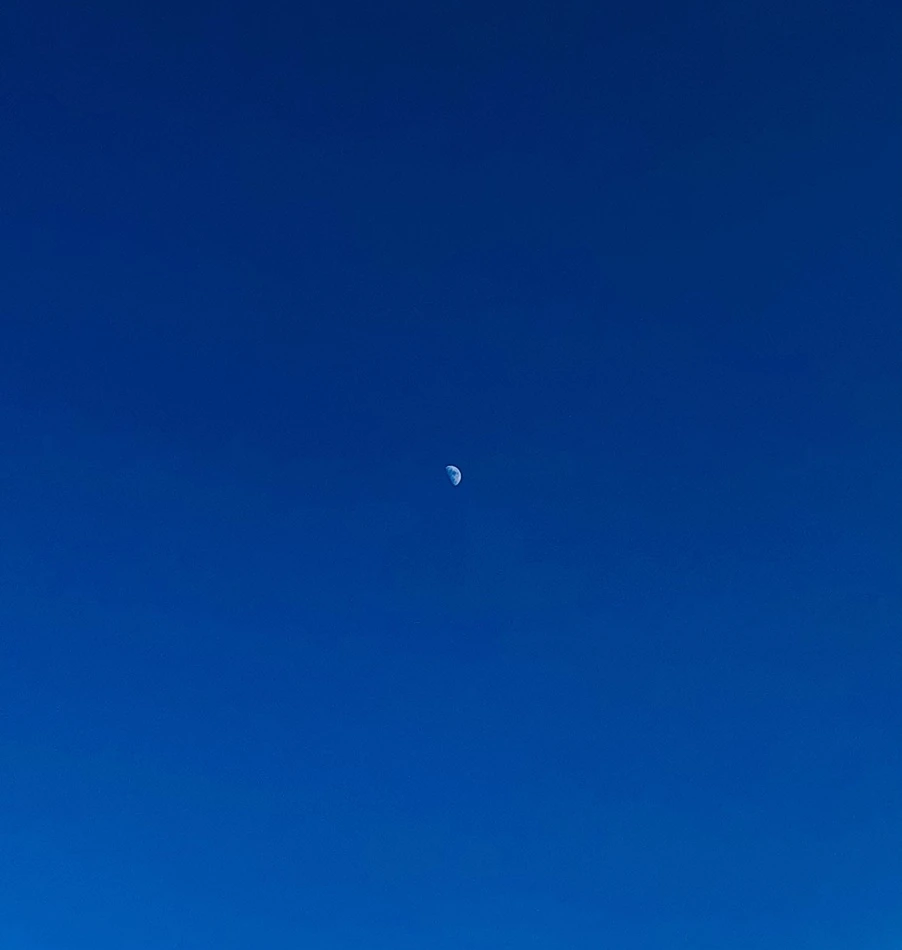 IMG_4829.jpg?type=w966