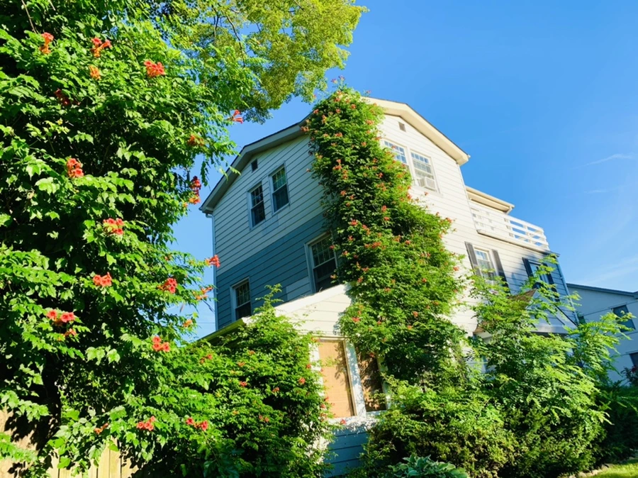 IMG_6500.jpg?type=w966