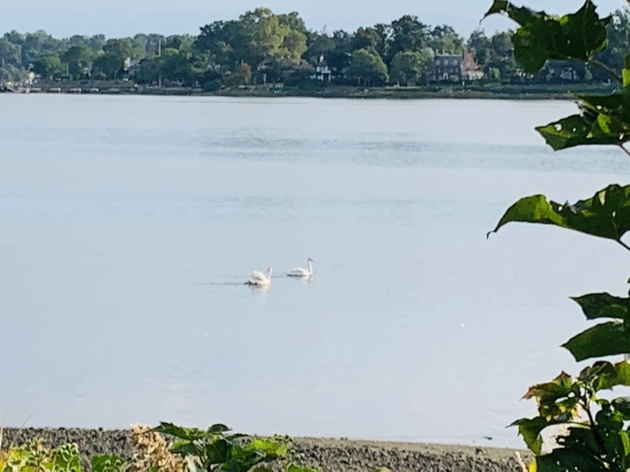 IMG_7822.jpg?type=w966