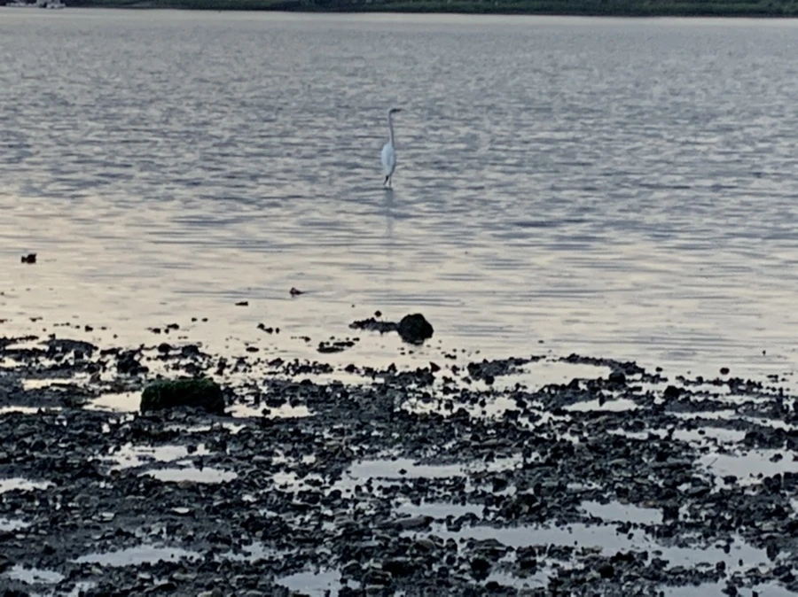 IMG_8168.jpg?type=w966