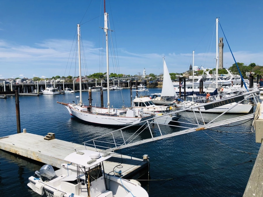 IMG_5002.jpg?type=w966