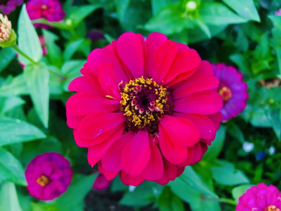 IMG_5643.jpg?type=w966