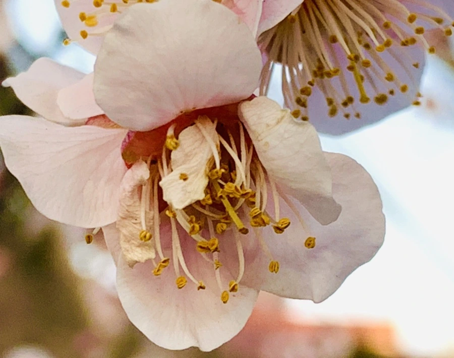 IMG_2779.jpg?type=w966