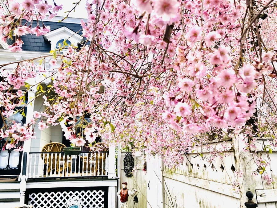 IMG_7102.jpg?type=w966