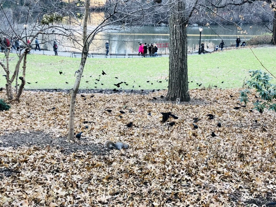 IMG_8616.jpg?type=w966