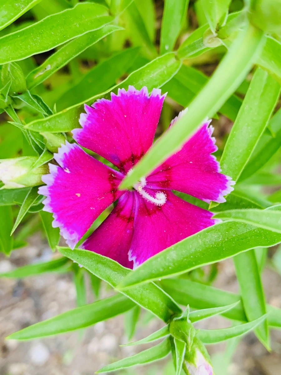 IMG_9017.jpg?type=w966