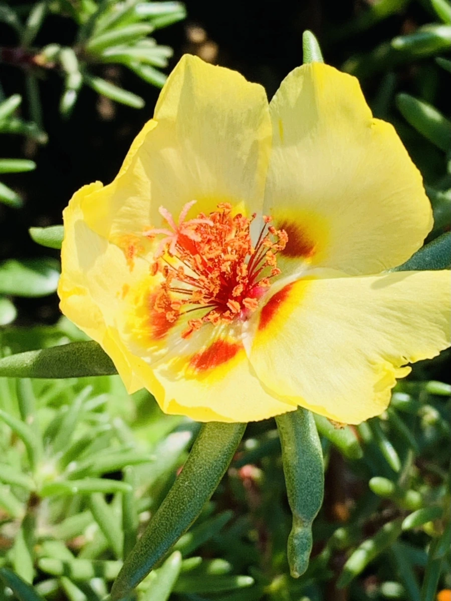 IMG_8383.jpg?type=w966