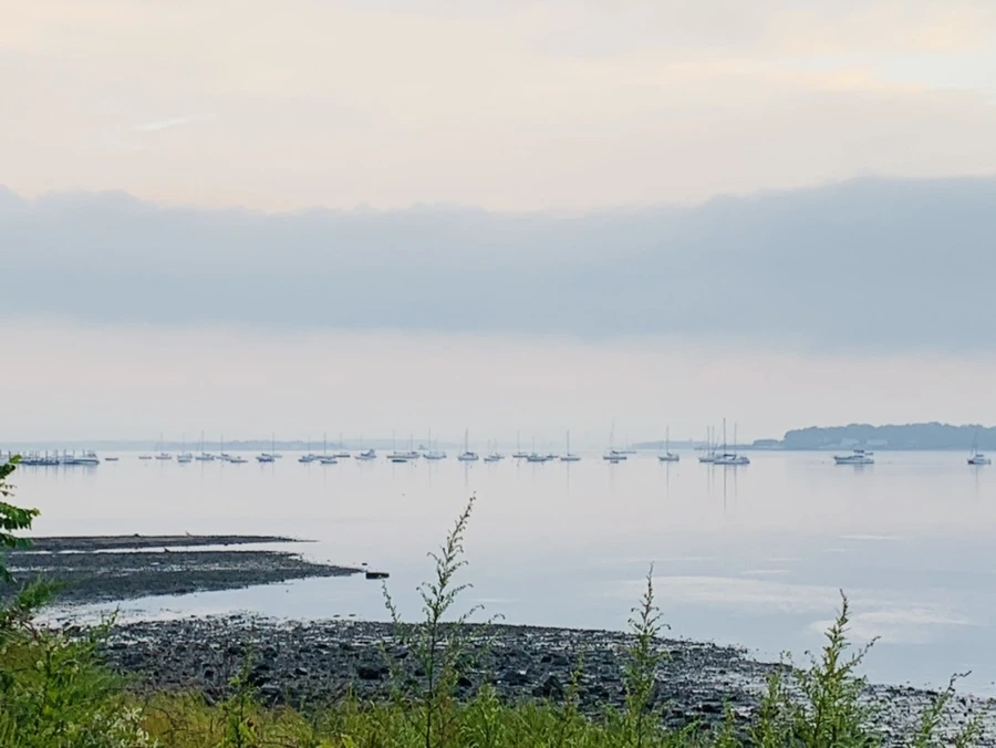 IMG_8212.jpg?type=w966