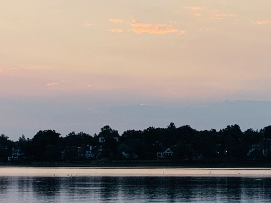 IMG_4599.jpg?type=w966