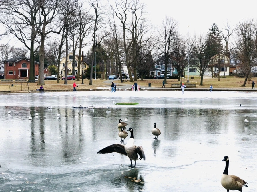 IMG_8299.jpg?type=w966