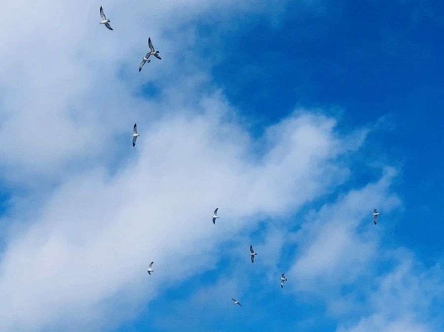 01uAXhzkxGohWagZvdLFTDvwaME