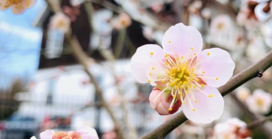 IMG_0526.jpg?type=w966