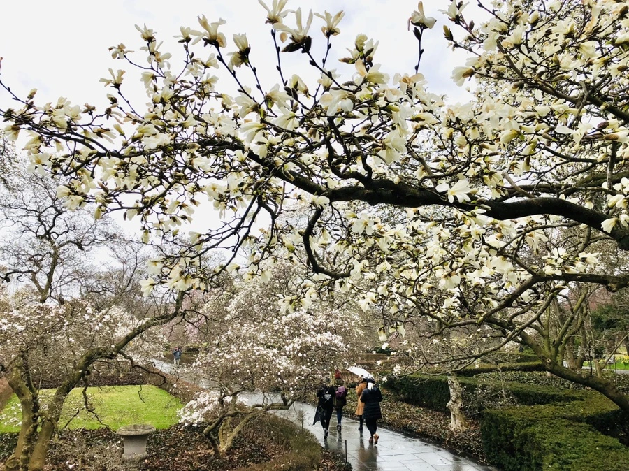 IMG_2365.jpg?type=w966