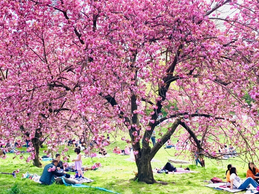 IMG_5191.jpg?type=w966