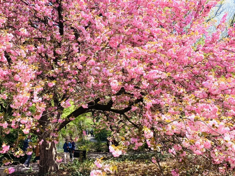 IMG_6403.jpg?type=w966