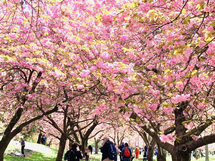 IMG_6485.jpg?type=w966