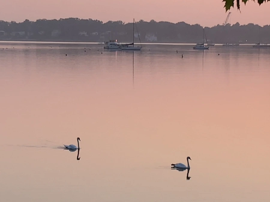 IMG_2078.jpg?type=w966