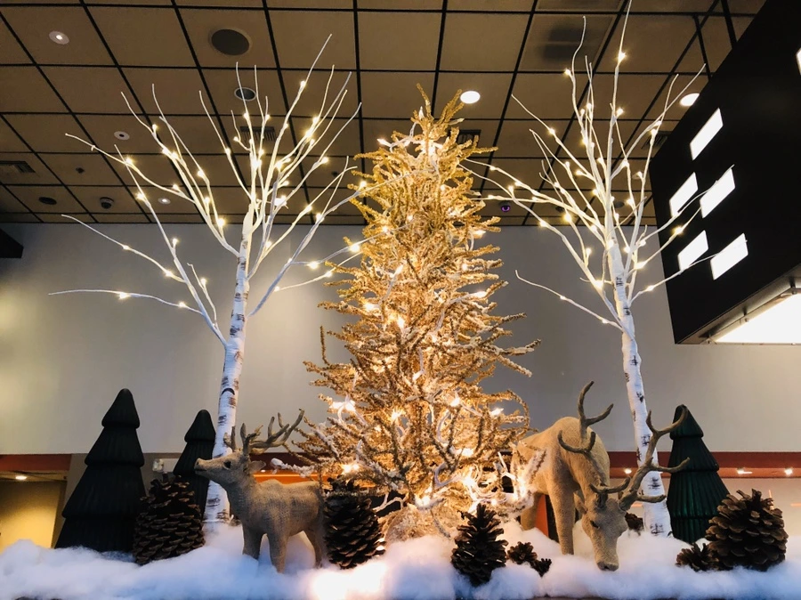 IMG_2746.jpg?type=w966