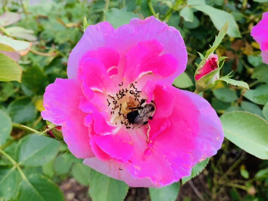 IMG_8754.jpg?type=w966