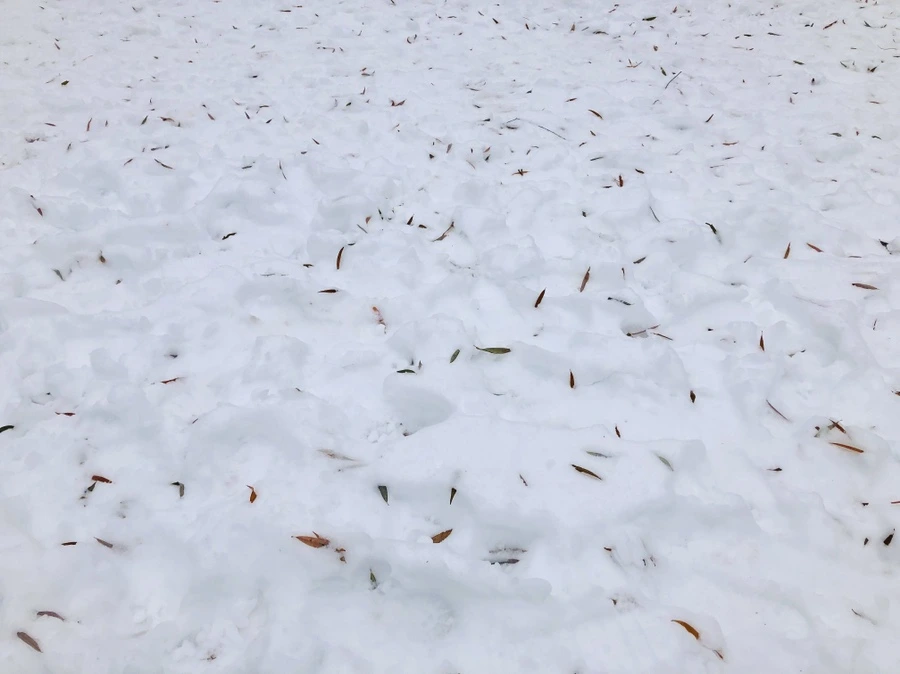 IMG_7561.jpg?type=w966