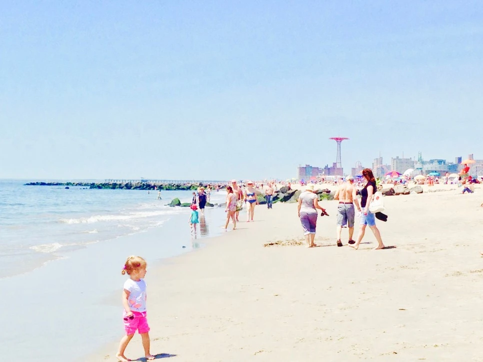 IMG_3947.jpg?type=w966