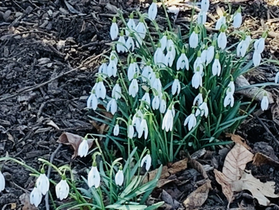 IMG_0698.jpg?type=w966