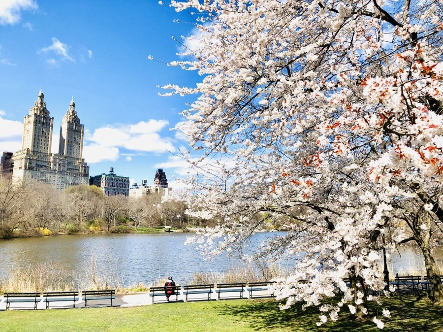 IMG_6881.jpg?type=w966