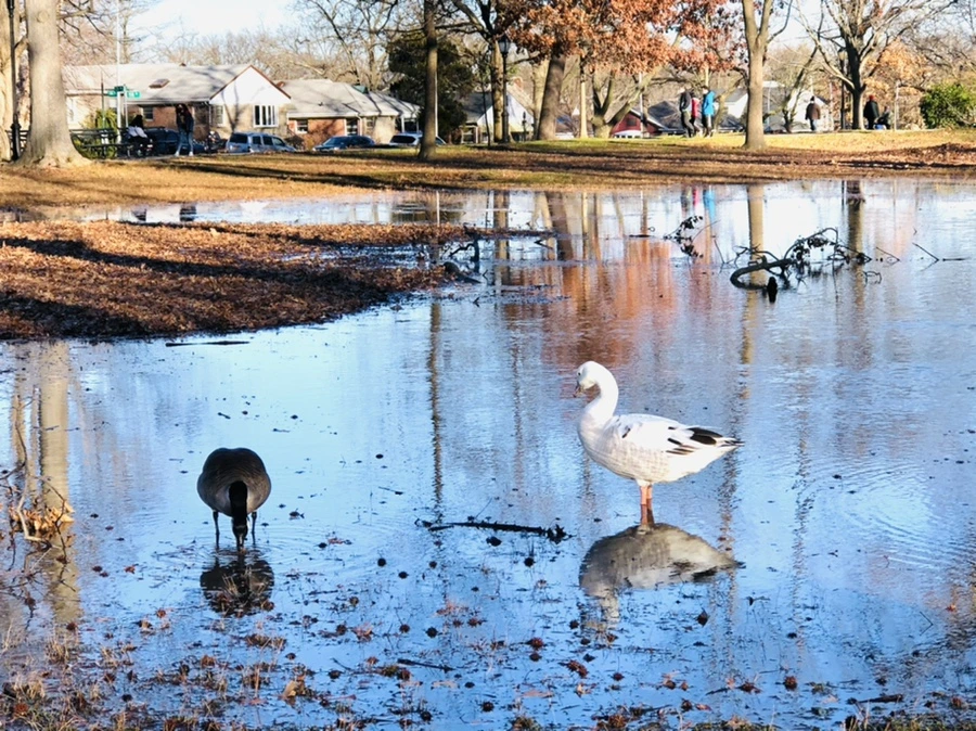 IMG_9275.jpg?type=w966