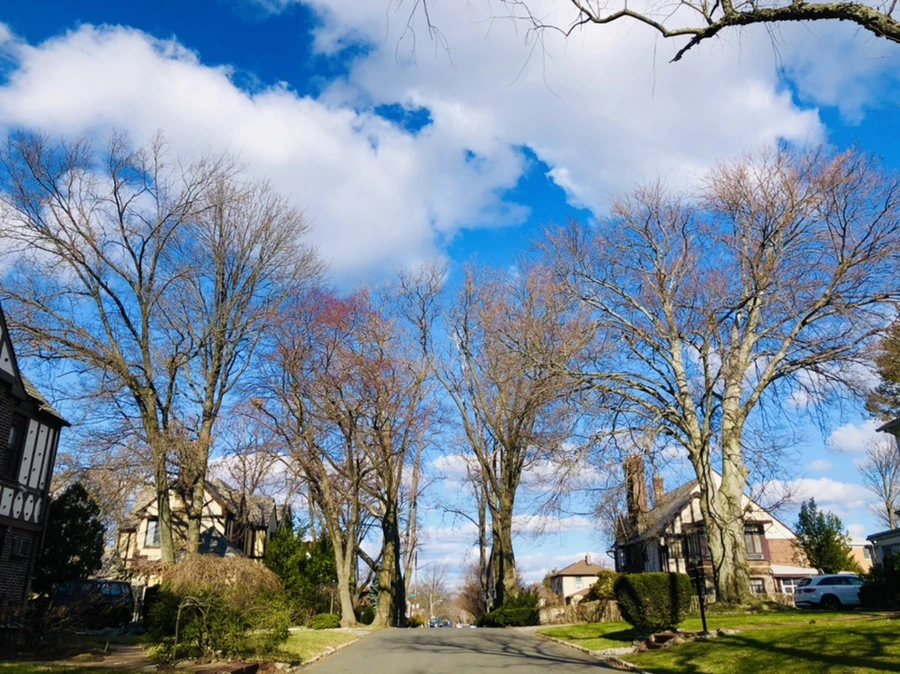 IMG_8422.jpg?type=w966