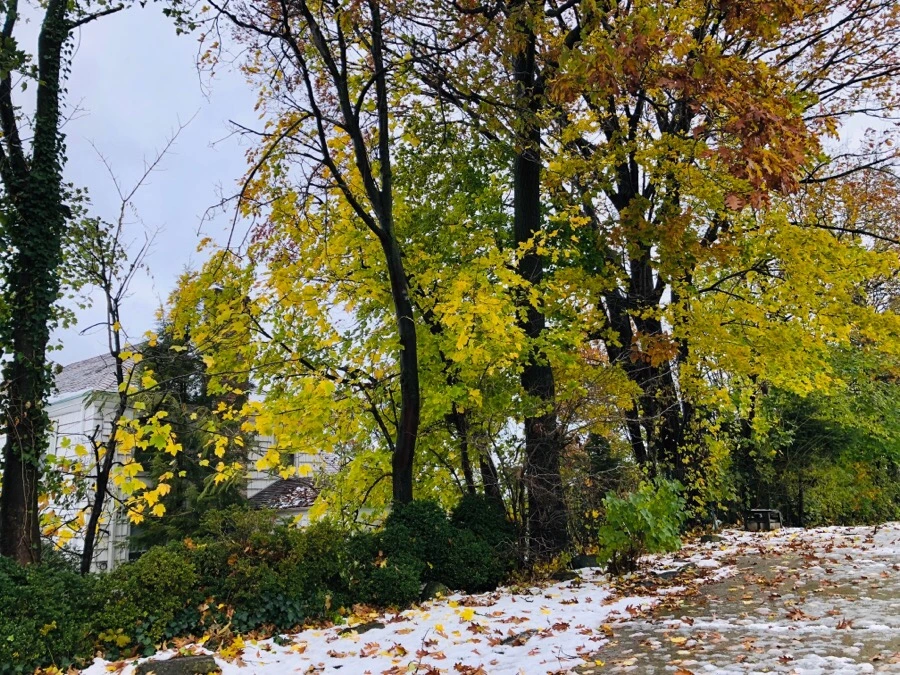 IMG_7798.jpg?type=w966