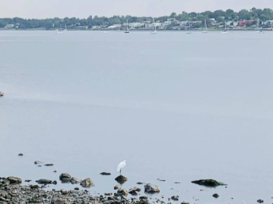 IMG_0658.jpg?type=w966