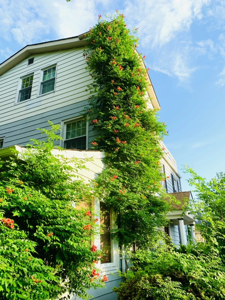 IMG_5835.jpg?type=w966