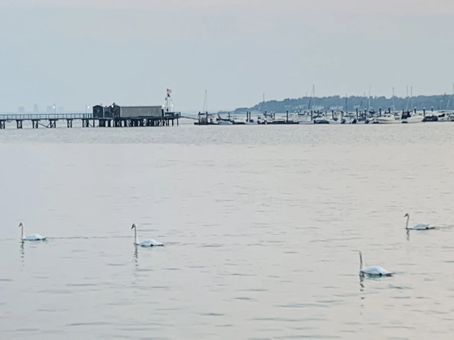 IMG_2375.jpg?type=w966