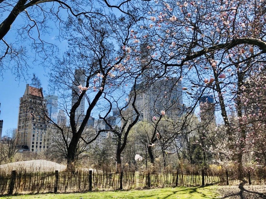 IMG_6654.jpg?type=w966