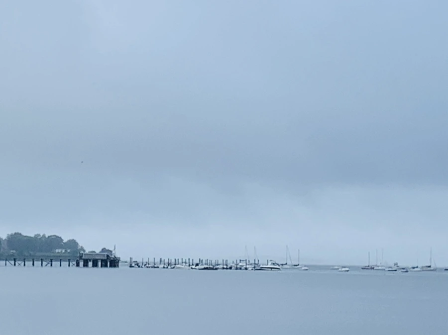 IMG_4796.jpg?type=w966