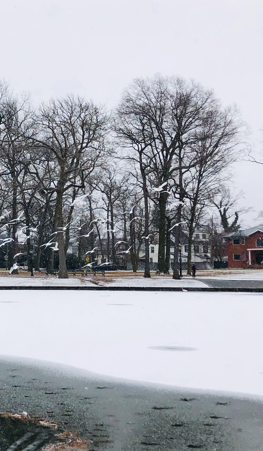 IMG_6097.jpg?type=w966